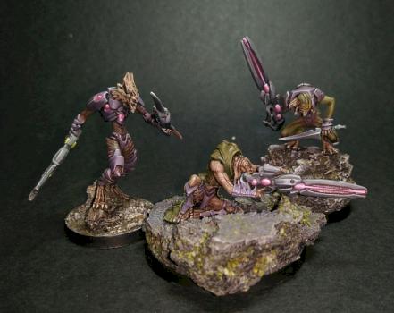 Shasvastii by House
