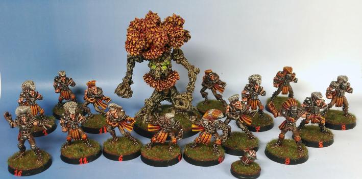 blood bowl wood elf team by raivan