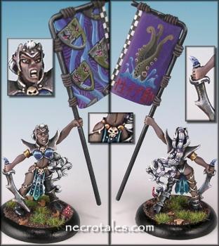 Dark Elf Banner Bearer by EArkham