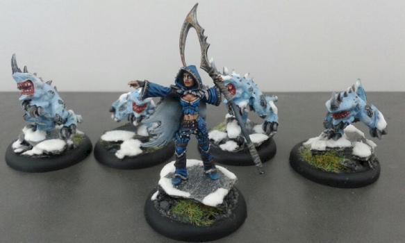 Hordes Everblight Shepherd by tom58
