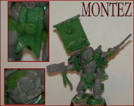 monez, vet sarge by storm hawk