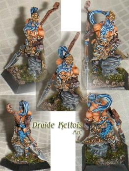 Druide Keltois 2 by MrC