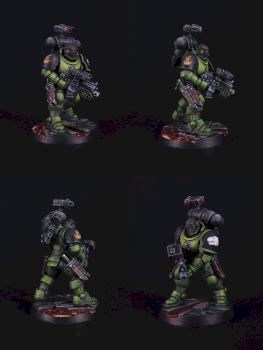 Space Marine Primaris Incursor from Salamanders Chapter by Grey10