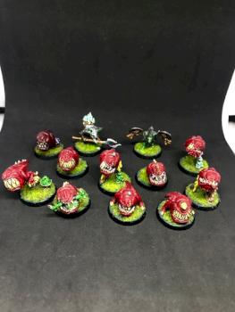 Squig Herd Gloomspite Gitz ORCS & GOBLINS WARHAMMER by juanlurockerman