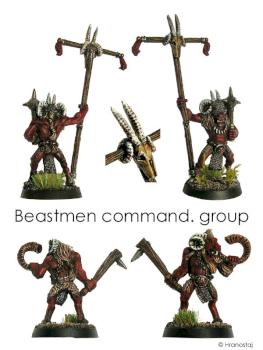Beastmen command group by Hranostaj