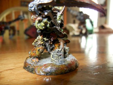 typhus by calicoJack9