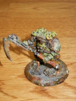 typhus by calicoJack9