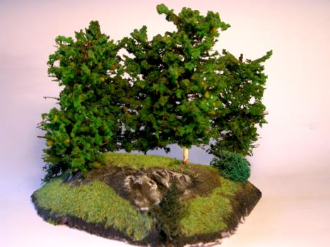 Forest by Manuel