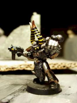 IW Aspiring Champion by sgr