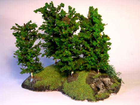 Forest#2 by Manuel