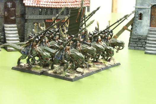 Dark Elves - Cold One Knights by Praetorian1979