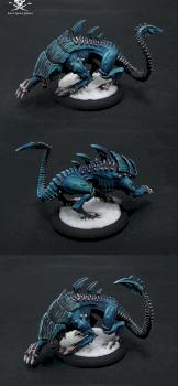 Raek by Jolly Roger Studio