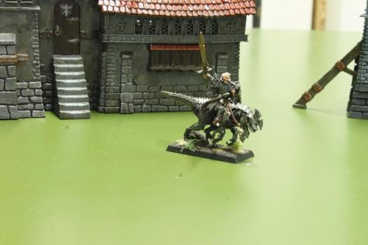 Dark Elves - Dreadlord on Cold One by Praetorian1979