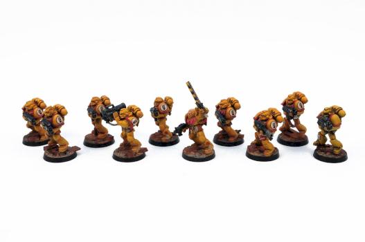 Imperial Fists Tactical by Kirys