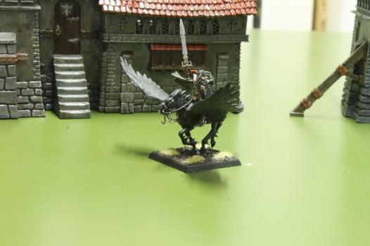 Dark Elves - Master on Dark Pegasus by Praetorian1979