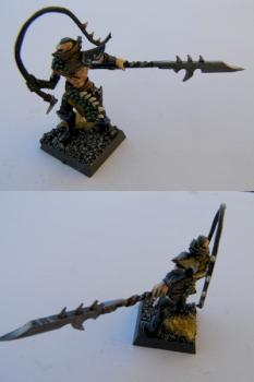 Dark Elf Beastmaster by Johnz