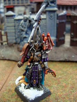 Dark Elves Lord by Djevel