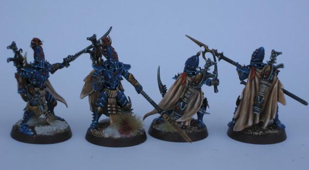 Dark Eldar Trueborn by trollslayer