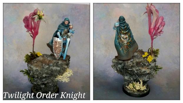 Twilight Order Knight by Drifter083