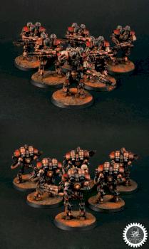 Thallax cohort by loris