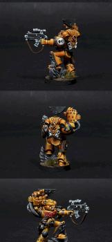 Imperial Fists Sergeant by BloodyBeast.com