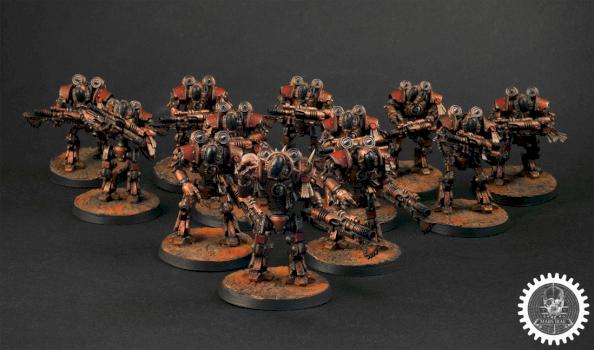 Thallax cohort by loris