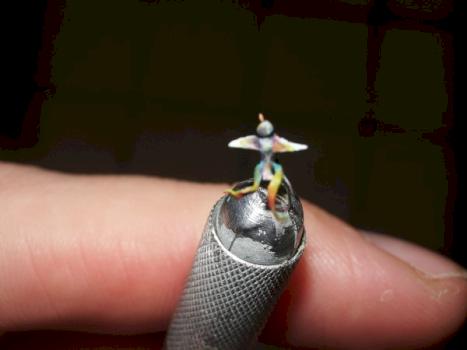 oiseau 2 a 3 mm by marc. c