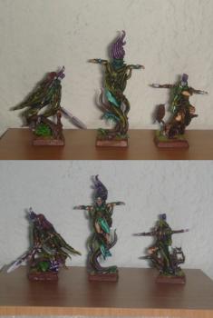 all my wood elves heros_painted by chaoscarsten