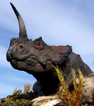 Dinosaur : Centrosaurus apertus by Gorgosaurus