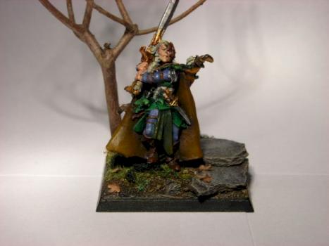 woodelve by mushroom