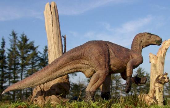 Dinosaur : Iguanodon by Gorgosaurus