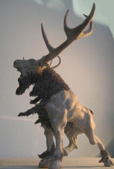 Stag by pitcube