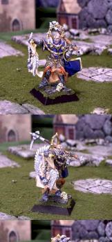 Sered, Commandeur Templier Griffon by UkkoLOurs