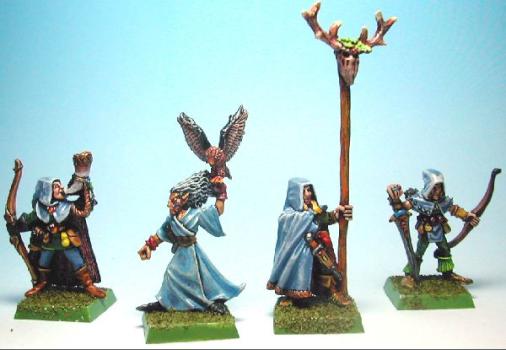Wood Elves Heroes and Leaders by sinnis