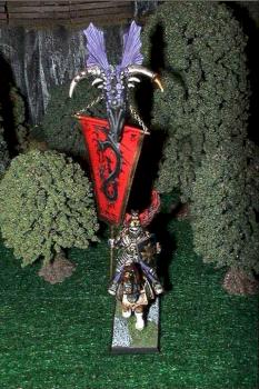 Dragon Army - Standard Bearer - Whole by DracoTor