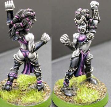 Witch Elf Blood Bowl Model by Renegade37