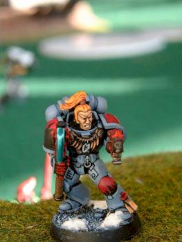 Grey Hunter by salgin