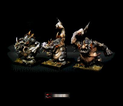 Warhammer Trolls D'eau . by Hexagone Club