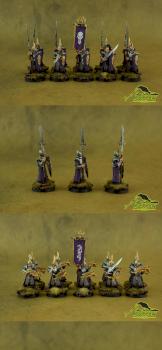 Dark Elves Darkshards & Dreadspears by Mad Crow Studio