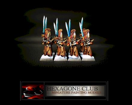 Warhammer Hauts Elfes Guerriers . by Hexagone Club