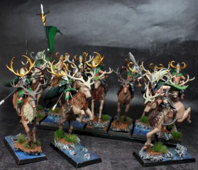 Wood Elves Cavalry Army by Czopsquad