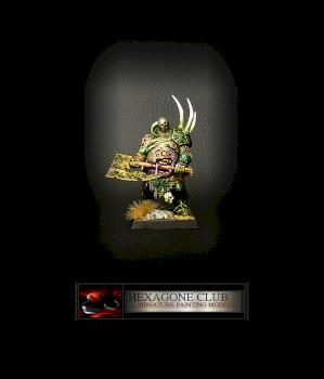 Warhammer Champion Of Nurgle . by Hexagone Club