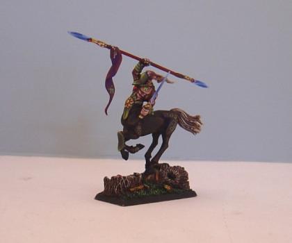 Wood Elf Wild Rider - Centaur conversion by Konstantinos