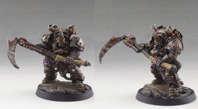 typhus by looserpro