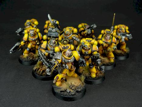 imperial fists tactical squad 2 by Dave paints