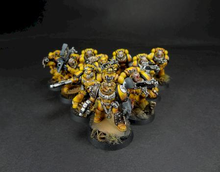 imperial fists tactical squad 1 by Dave paints