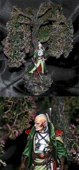 Eldar Ranger by Ap0k