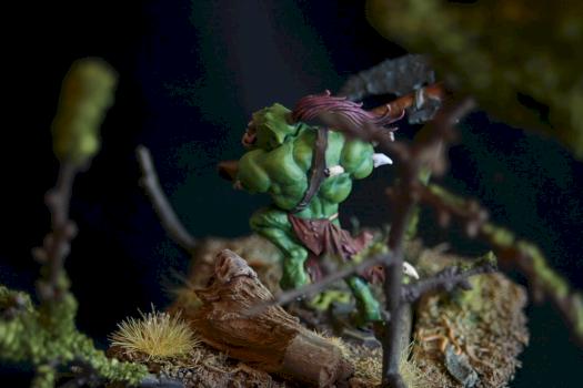 Crazy-Wild-Ork by Dweep81