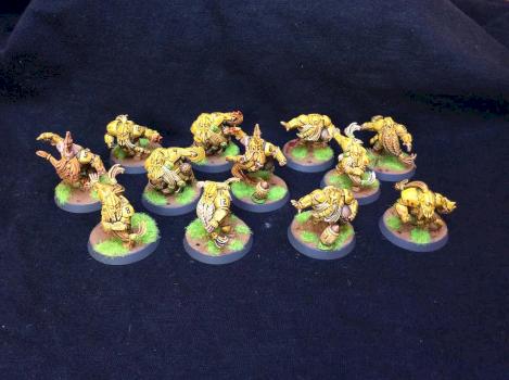 blood bowl dwarfs by tyyler