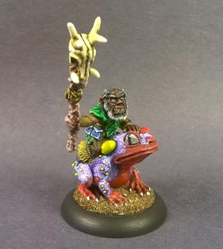03226: Parraway Ambercane, Gnome Druid by mikecarrero